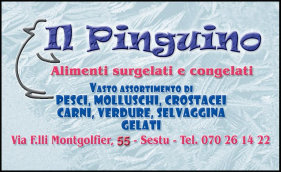 Il Pinguino s.n.c di Massimo Manunza e M