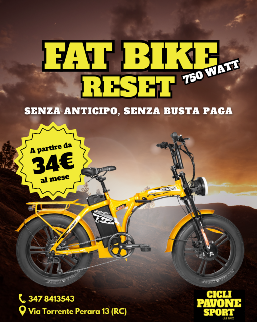 Fat Bike Reset 