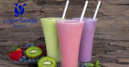 Frappe' di Yogurt Grande vari gusti